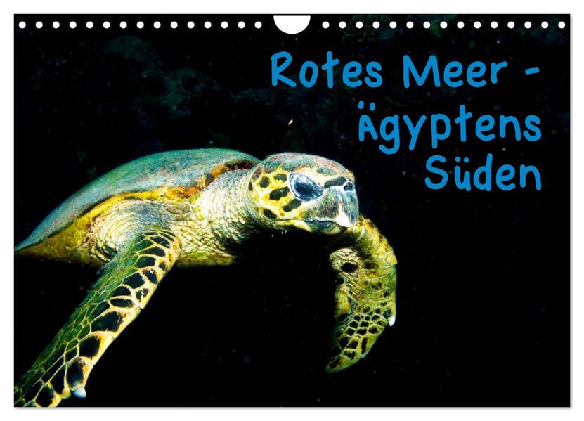 Rotes Meer - Ägyptens Süden (Wandkalender 2025 DIN A4 quer) CALVENDO Monatskalender