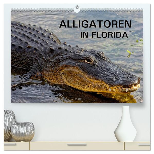 ALLIGATOREN in Florida (hochwertiger Premium Wandkalender 2025 DIN A2 quer) Kunstdruck in Hochglanz