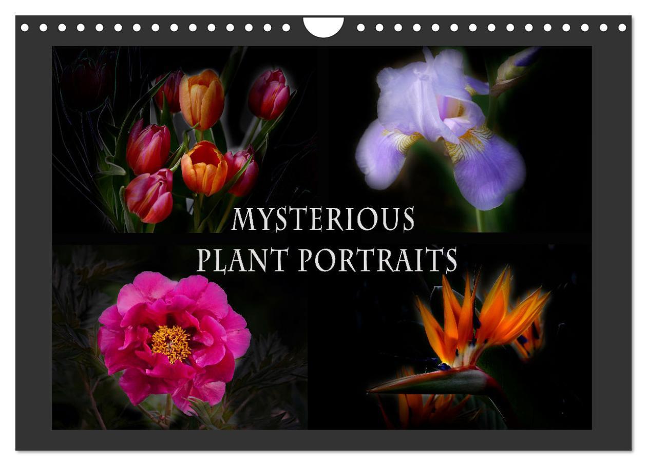 Mysterious plant portraits (Wall Calendar 2025 DIN A4 landscape) CALVENDO 12 Month Wall Calendar