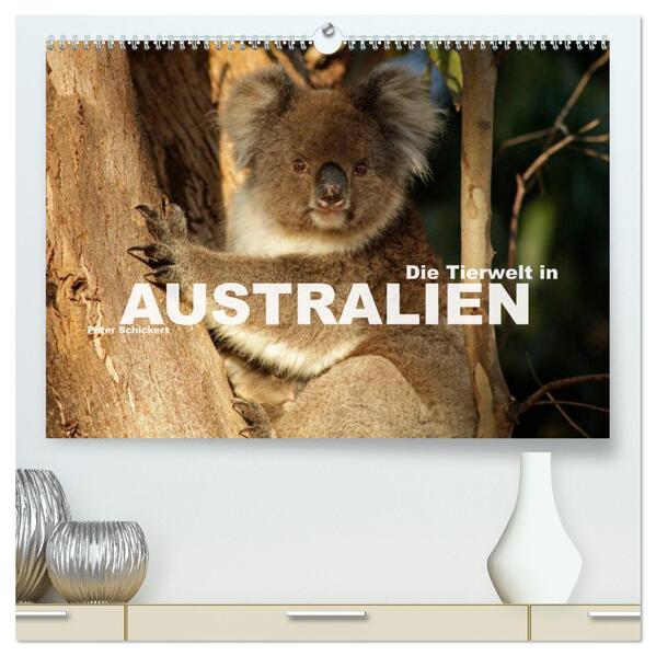 Die Tierwelt in Australien (hochwertiger Premium Wandkalender 2025 DIN A2 quer) Kunstdruck in Hochglanz
