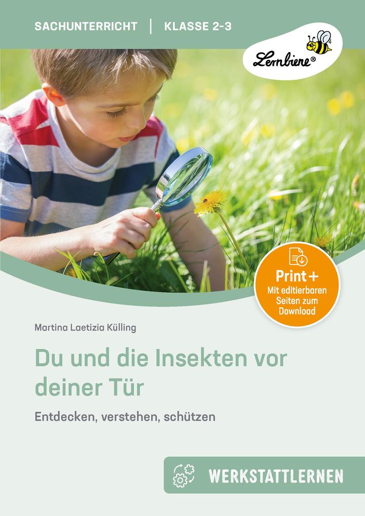 Du und die Insekten vor deiner Tür
