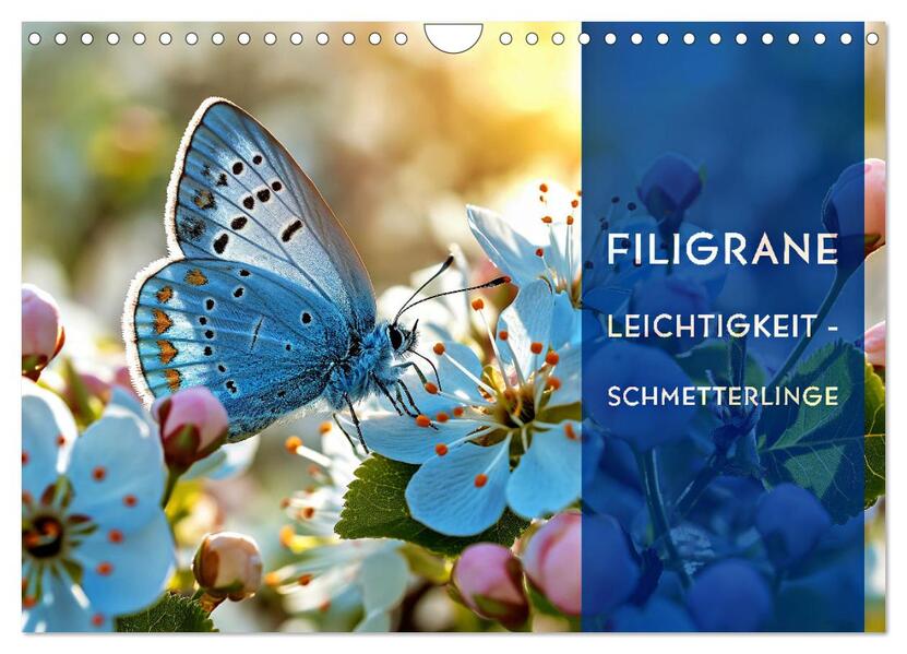 Filigrane Leichtigkeit - Schmetterlinge (Wandkalender 2025 DIN A4 quer) CALVENDO Monatskalender