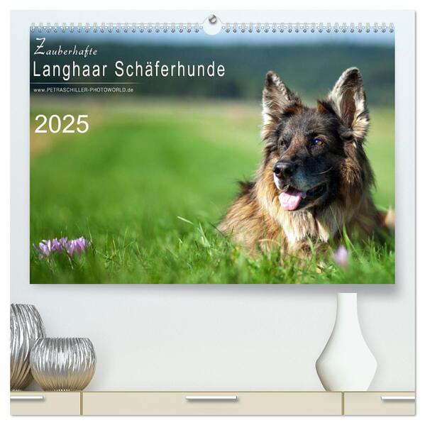 Zauberhafte Langhaar Schäferhunde (hochwertiger Premium Wandkalender 2025 DIN A2 quer) Kunstdruck in Hochglanz