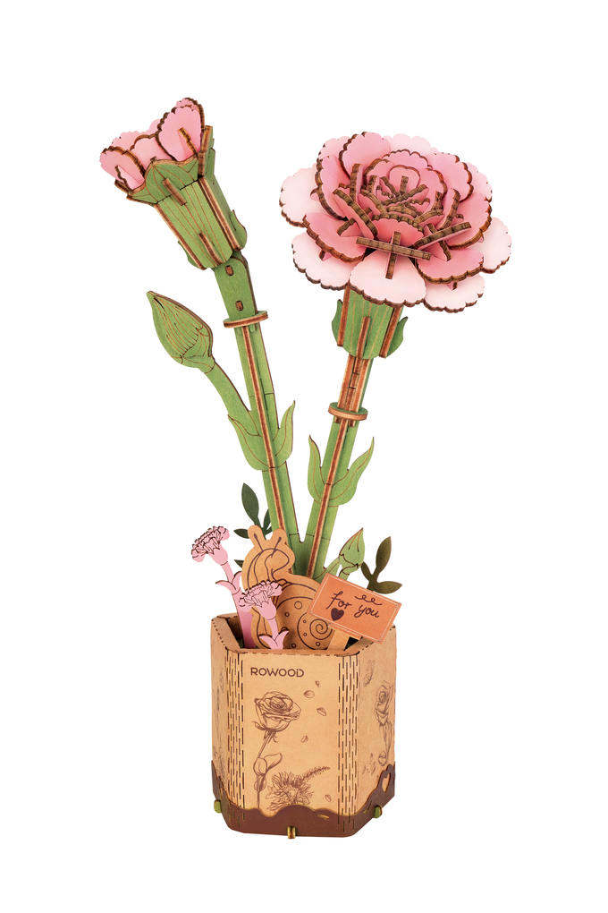 Pink Carnation