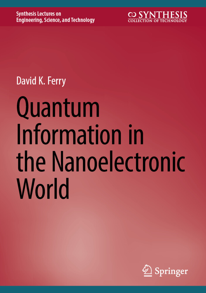Quantum Information in the Nanoelectronic World