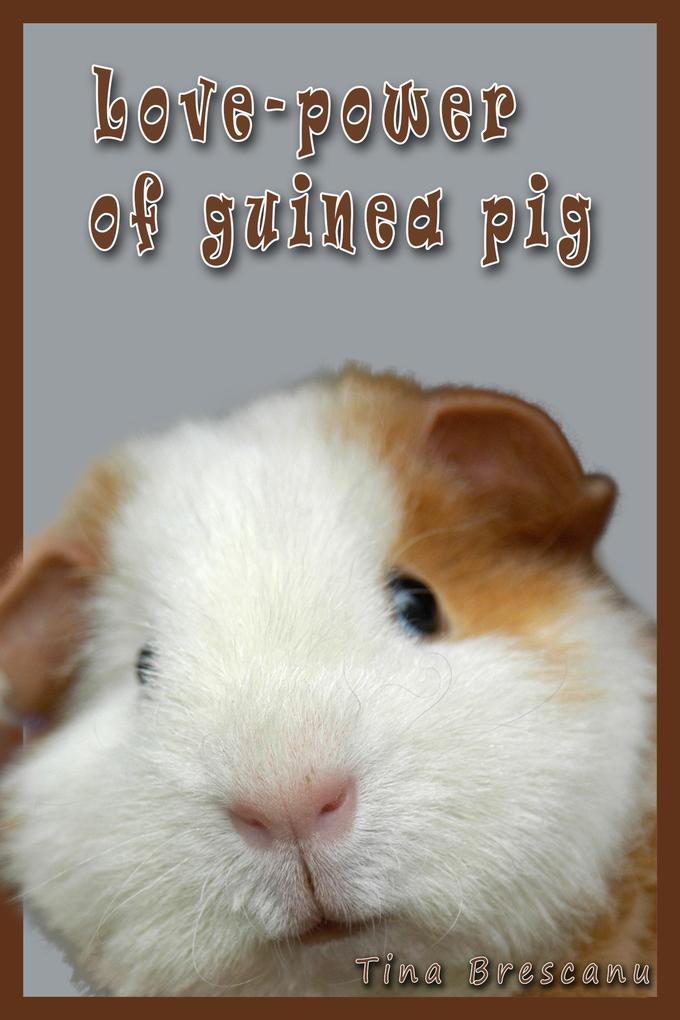 Love-Power of Guinea Pig
