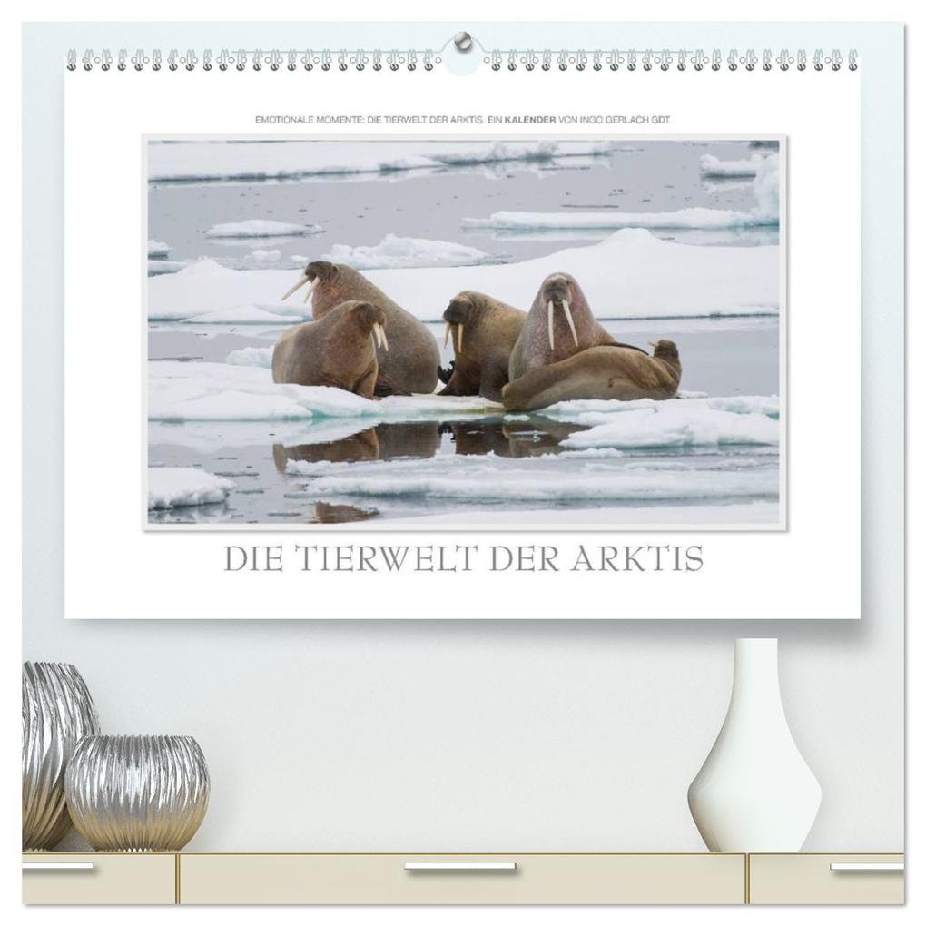Emotionale Momente: Die Tierwelt der Arktis / CH-Version (hochwertiger Premium Wandkalender 2025 DIN A2 quer) Kunstdruck in Hochglanz
