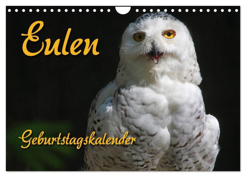 Eulen (Wandkalender 2025 DIN A4 quer) CALVENDO Monatskalender