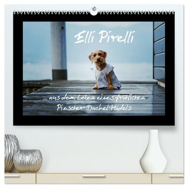 Elli Pirelli... aus dem Leben eines fröhlichen Pinscher-Dackel-Mädels (hochwertiger Premium Wandkalender 2025 DIN A2 quer) Kunstdruck in Hochglanz