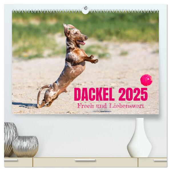 DACKEL 2025 Frech und Liebenwert (hochwertiger Premium Wandkalender 2025 DIN A2 quer) Kunstdruck in Hochglanz