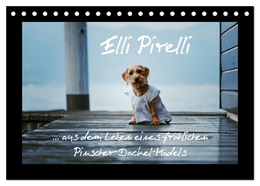 Elli Pirelli... aus dem Leben eines fröhlichen Pinscher-Dackel-Mädels (Tischkalender 2025 DIN A5 quer) CALVENDO Monatskalender