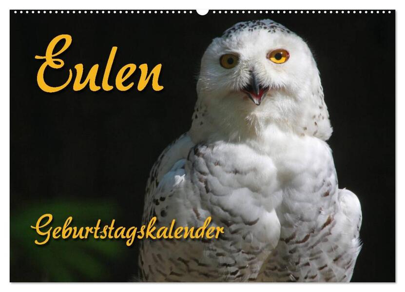 Eulen (Wandkalender 2025 DIN A2 quer) CALVENDO Monatskalender