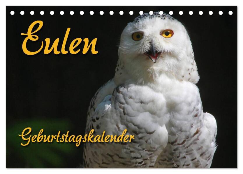 Eulen (Tischkalender 2025 DIN A5 quer) CALVENDO Monatskalender