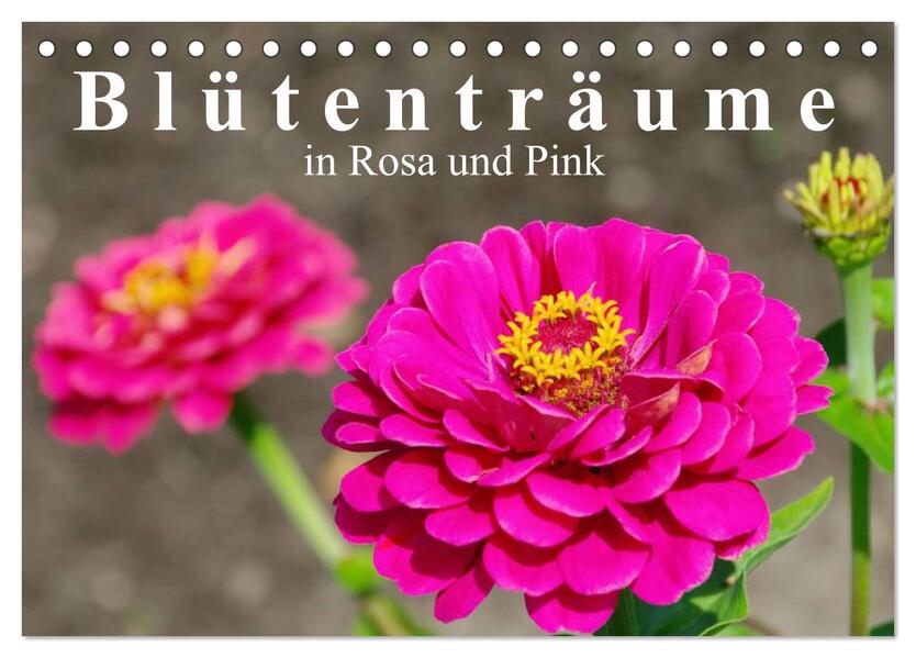 Blütenträume in Rosa und Pink (Tischkalender 2025 DIN A5 quer) CALVENDO Monatskalender