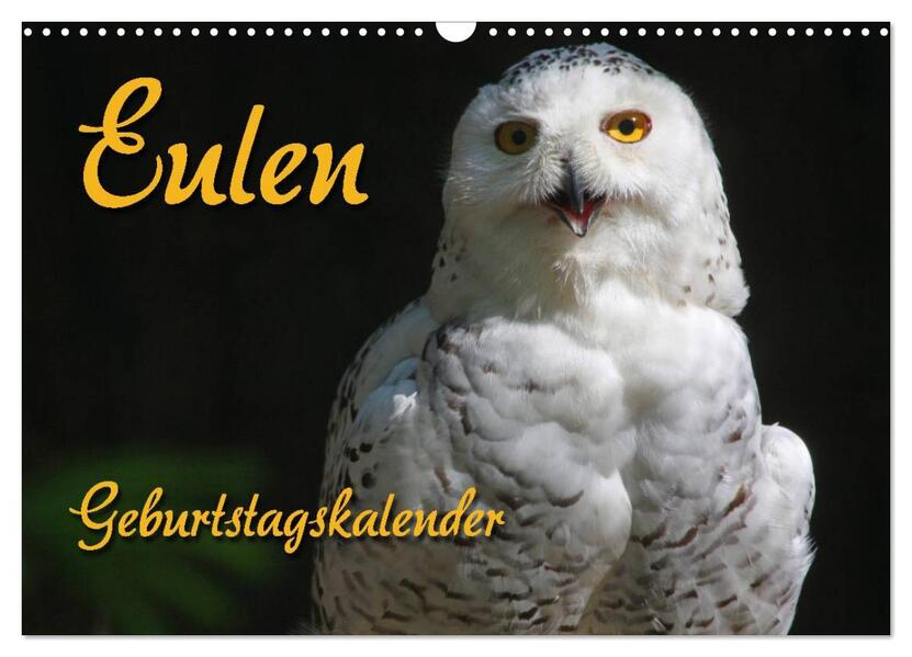 Eulen (Wandkalender 2025 DIN A3 quer) CALVENDO Monatskalender
