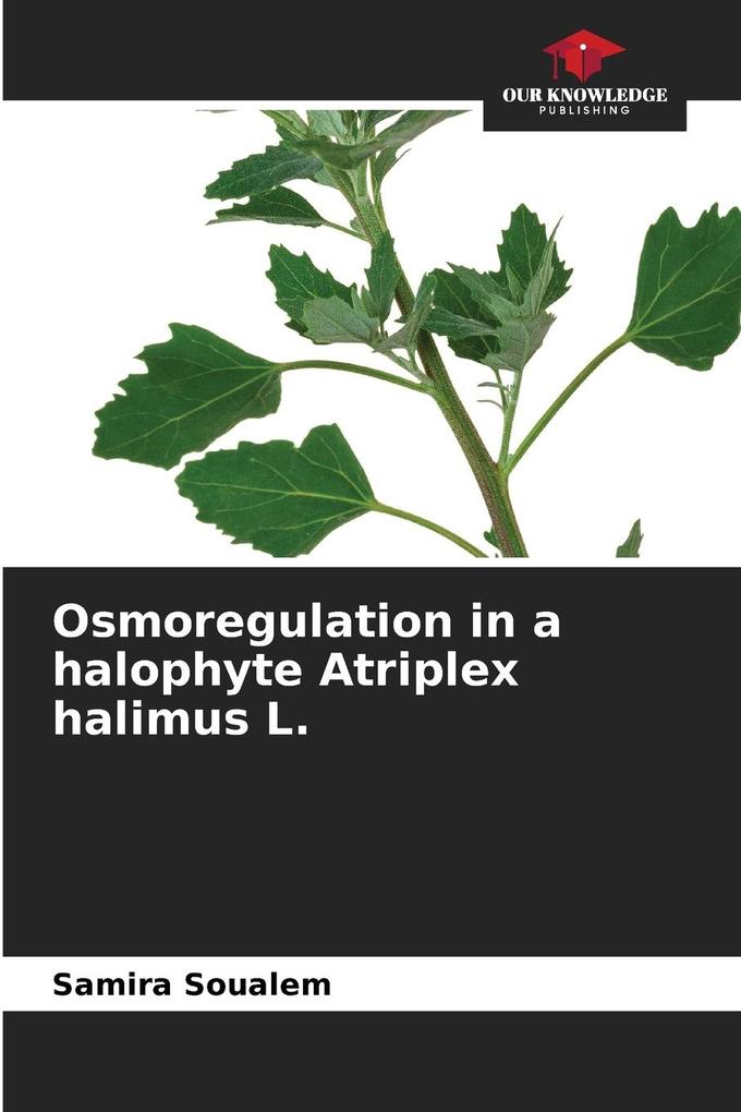 Osmoregulation in a halophyte Atriplex halimus L.