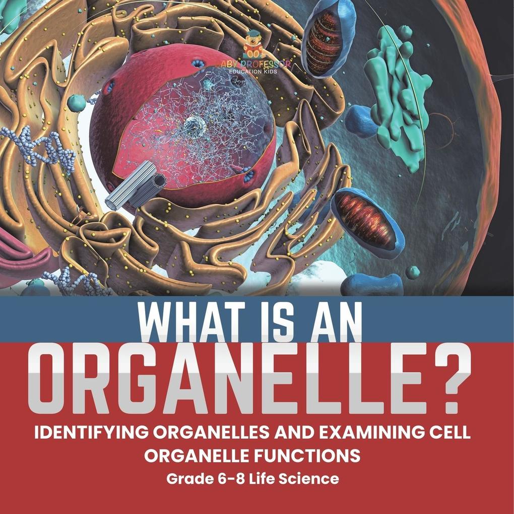 What is an Organelle? Identifying Organelles and Examining Cell Organelle Functions | Grade 6-8 Life Science