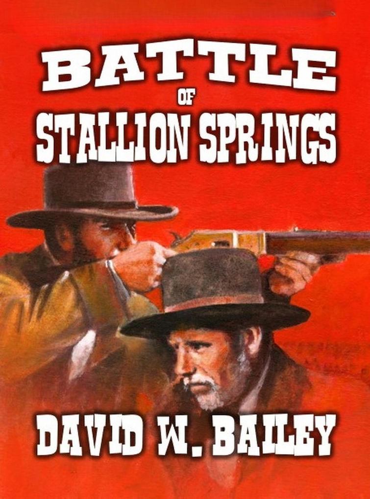Battle of Stallion Springs
