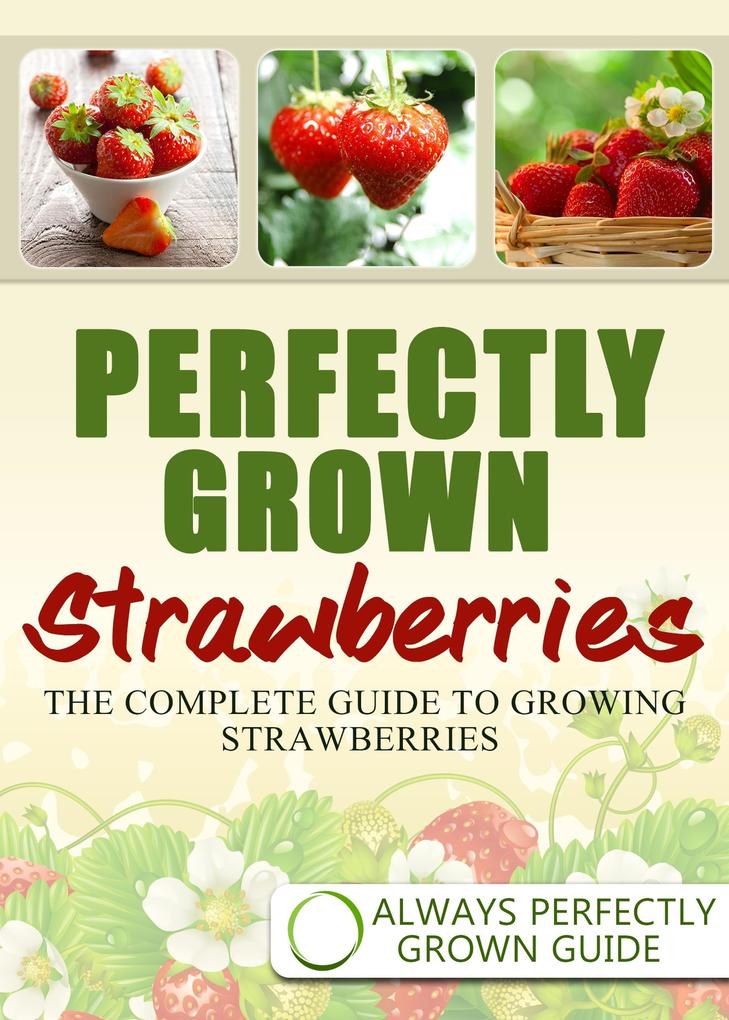 Perfectly Grown Strawberries - the complete guide to growing strawberries