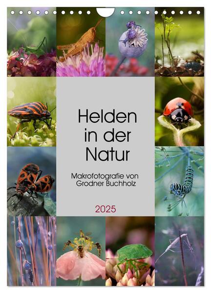 Helden in der Natur (Wandkalender 2025 DIN A4 hoch) CALVENDO Monatskalender