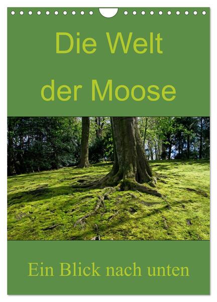Die Welt der Moose. Ein Blick nach unten (Wandkalender 2025 DIN A4 hoch) CALVENDO Monatskalender