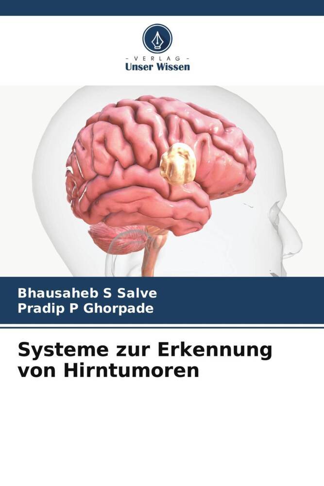 Systeme zur Erkennung von Hirntumoren
