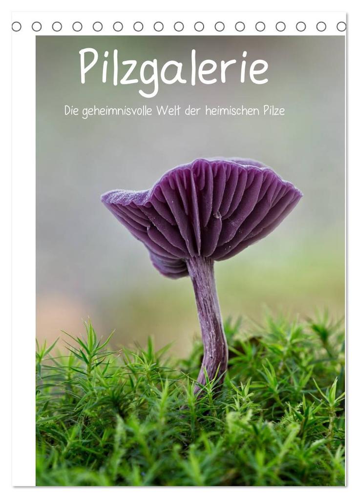 Pilzgalerie - Die geheimnisvolle Welt der heimischen Pilze (Tischkalender 2025 DIN A5 hoch) CALVENDO Monatskalender