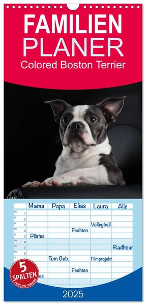 Familienplaner 2025 - Colored Boston Terrier 2025 mit 5 Spalten (Wandkalender 21 x 45 cm) CALVENDO