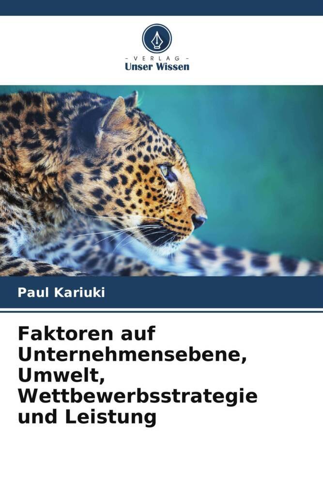 Faktoren auf Unternehmensebene Umwelt Wettbewerbsstrategie und Leistung