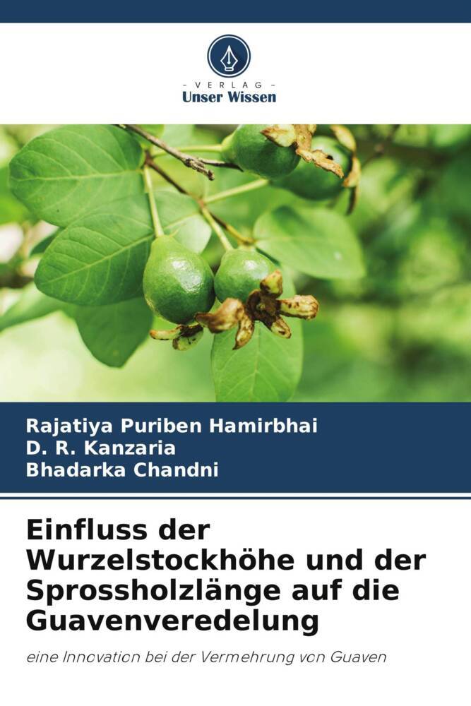 Einfluss der Wurzelstockhöhe und der Sprossholzlänge auf die Guavenveredelung