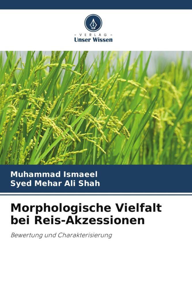 Morphologische Vielfalt bei Reis-Akzessionen