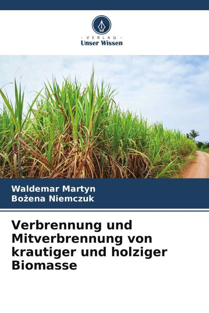 Verbrennung und Mitverbrennung von krautiger und holziger Biomasse