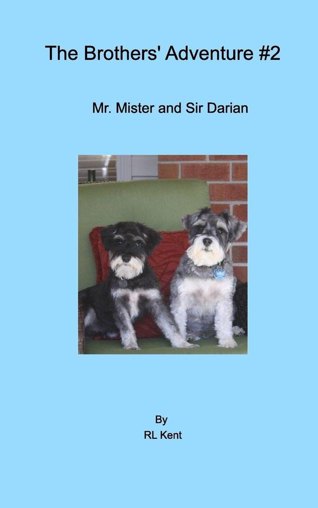 The Brothers' Adventure #2