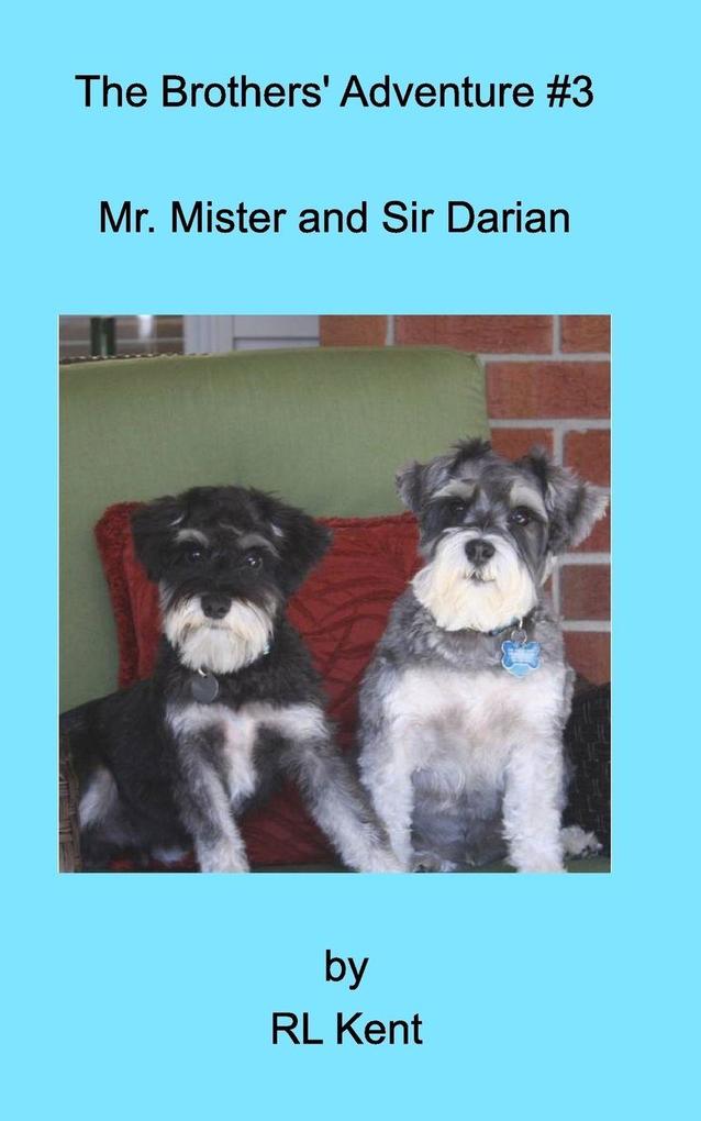 The Brothers' Adventure #3