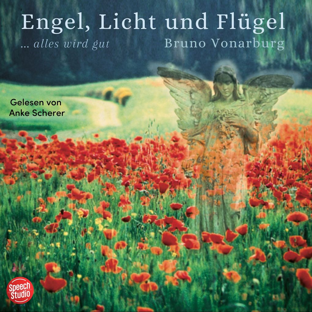Engel Licht und Flügel