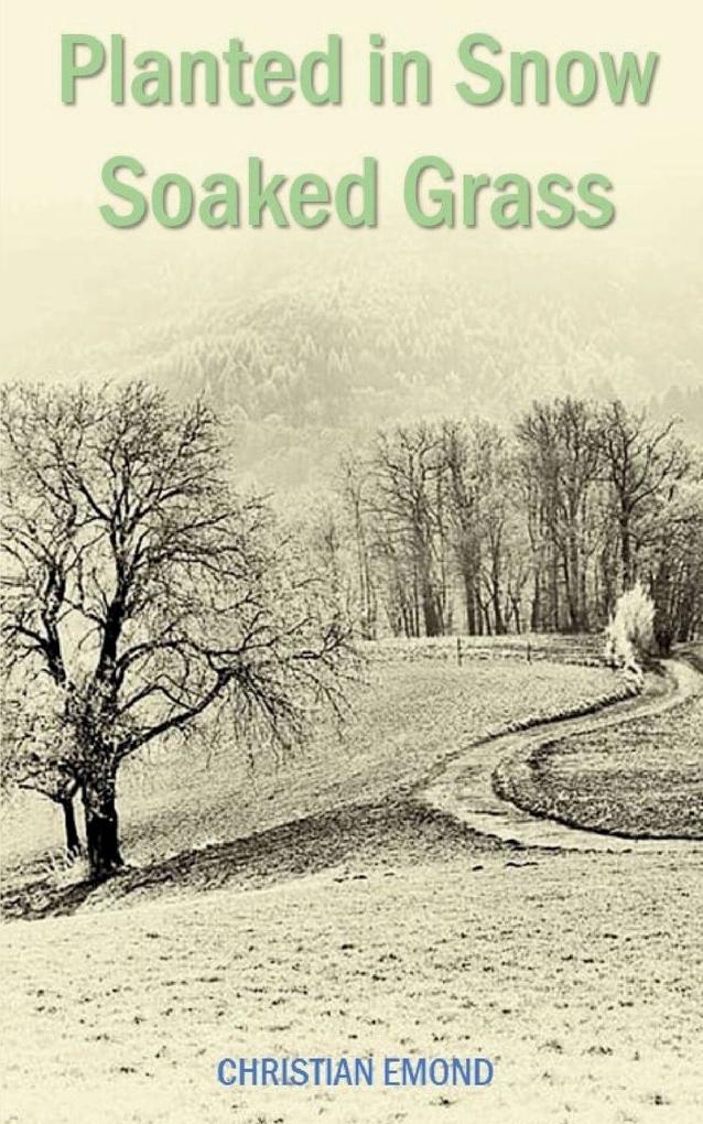 PLANTED IN SNOW SOAKED GRASS