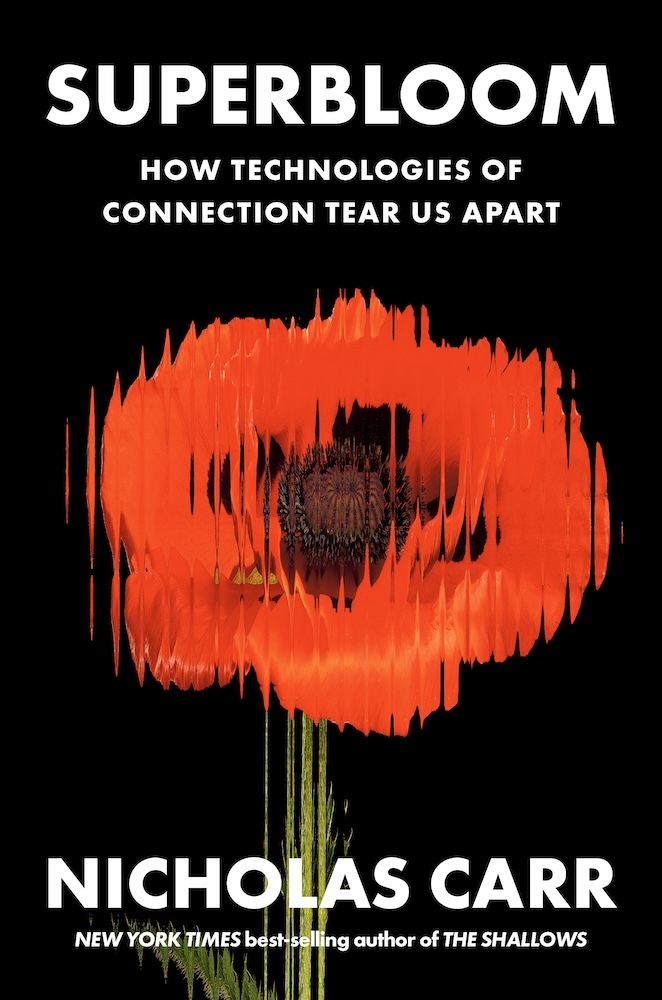 Norton & Company Superbloom