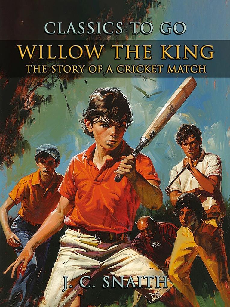 Willow The King The Story Of A Cricket Match