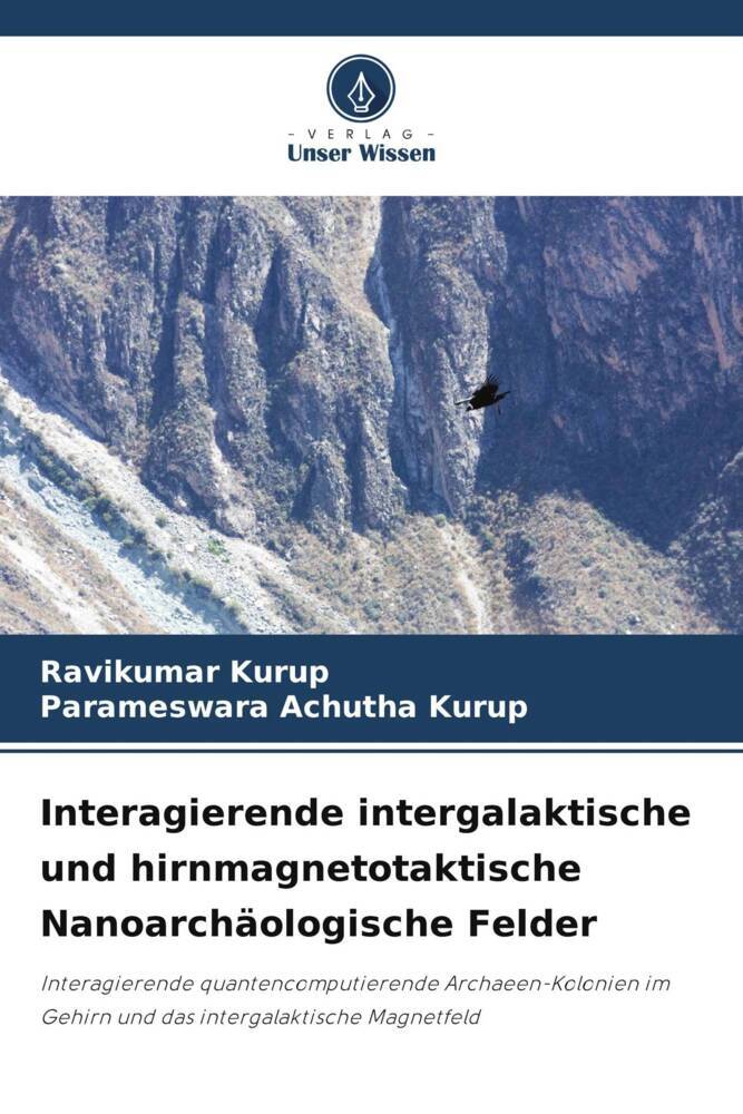 Interagierende intergalaktische und hirnmagnetotaktische Nanoarchäologische Felder