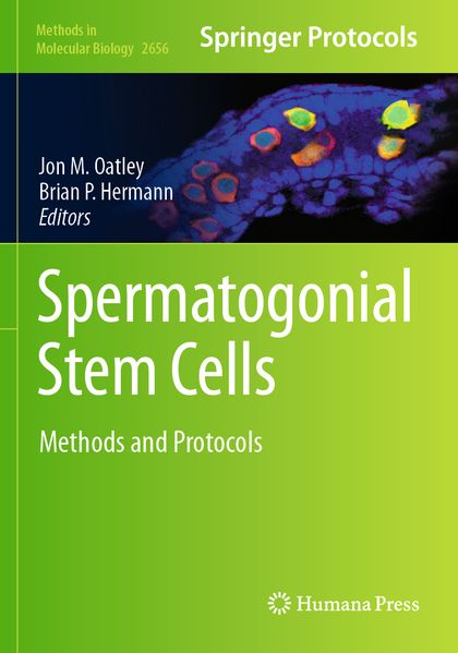 Spermatogonial Stem Cells