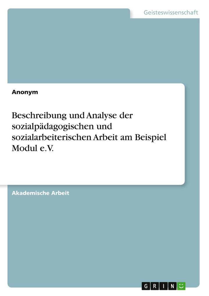 Beschreibung und Analyse der sozialpädagogischen und sozialarbeiterischen Arbeit am Beispiel Modul e.V.