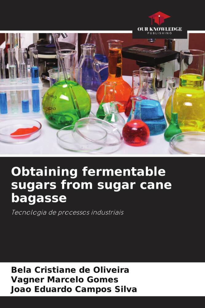 Obtaining fermentable sugars from sugar cane bagasse