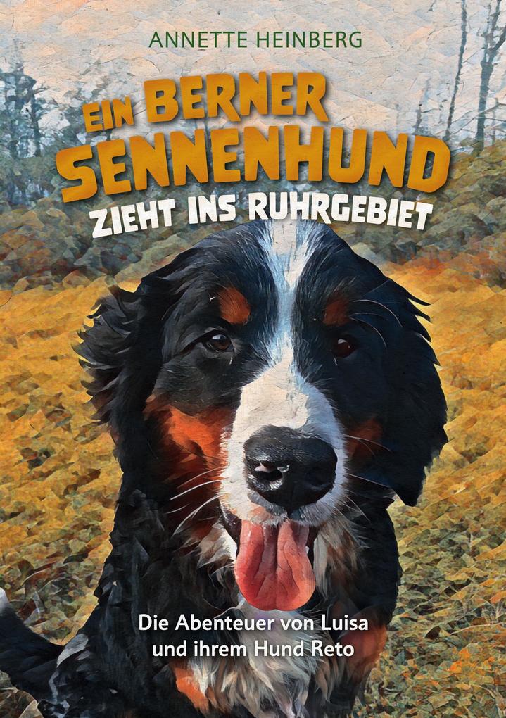 Ein Berner Sennenhund zieht ins Ruhrgebiet