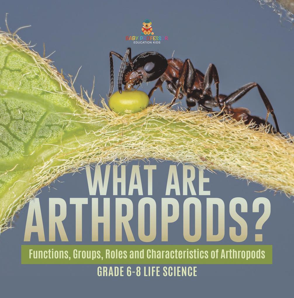 What are Arthropods? Functions Groups Roles and Characteristics of Arthropods | Grade 6-8 Life Science