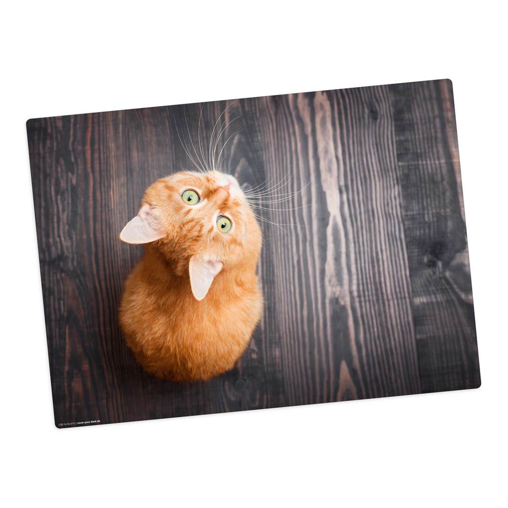 Tischsetmacher Tischset für Kinder Orange Katze aus hochwertigem Vinyl 44 x 32 cm