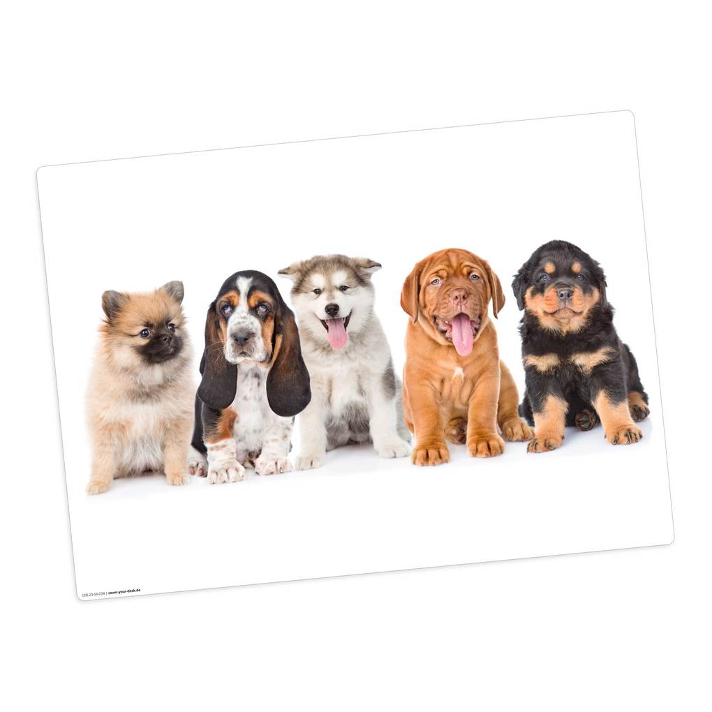 Tischsetmacher Tischset für Kinder 5 süße Hundewelpen aus hochwertigem Vinyl 44 x 32 cm