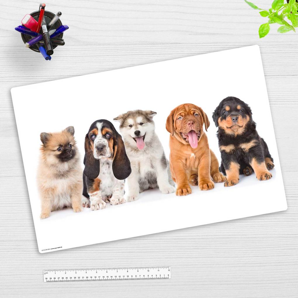 Cover-your-desk Schreibtischunterlage für Kinder 5 süße Hundewelpen aus hochwertigem Vinyl 60 x 40 cm