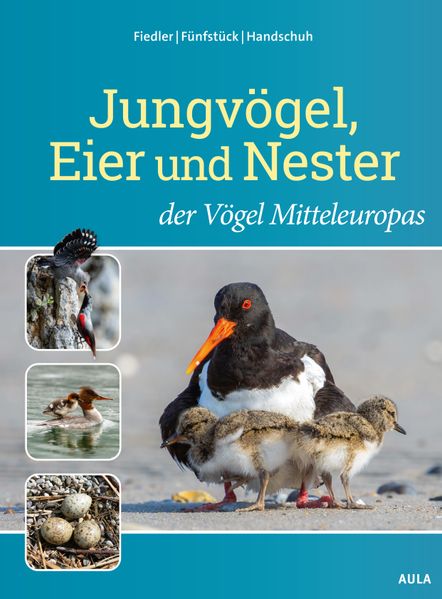 Jungvögel Eier und Nester der Vögel Mitteleuropas