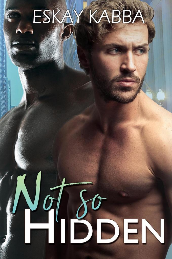 Not So Hidden (Hidden Love Series #2)