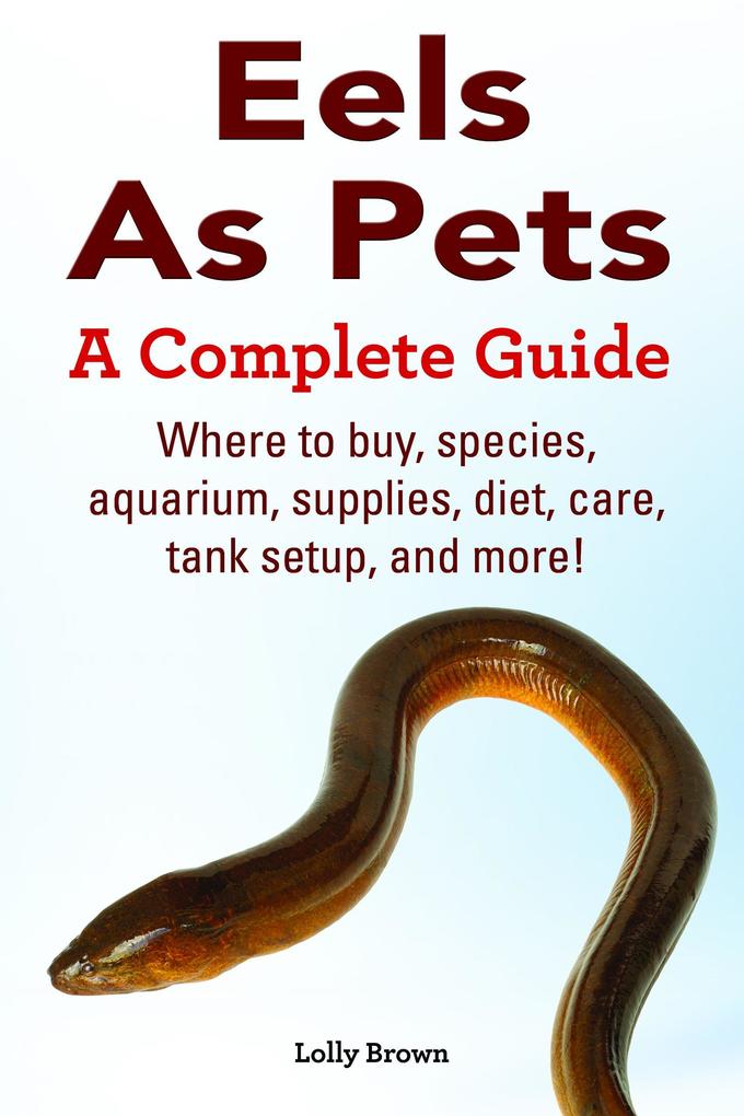 Eels As Pets. Where to buy species aquarium supplies diet care tank setup and more! A Complete Guide